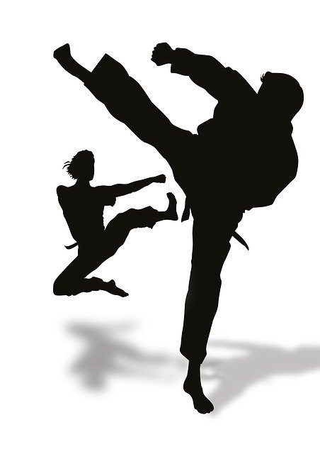 The Mother of All Martial Arts : Kalari or Kalarippayattu