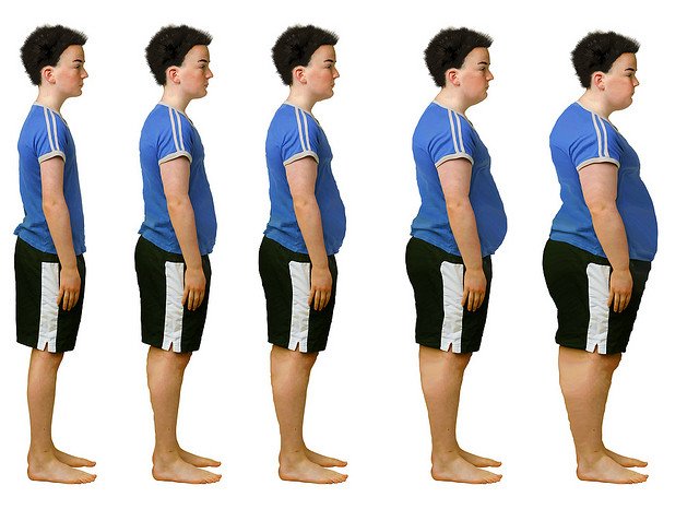 Obesity Secrets? Being Overweight – Because of Fat or Food?