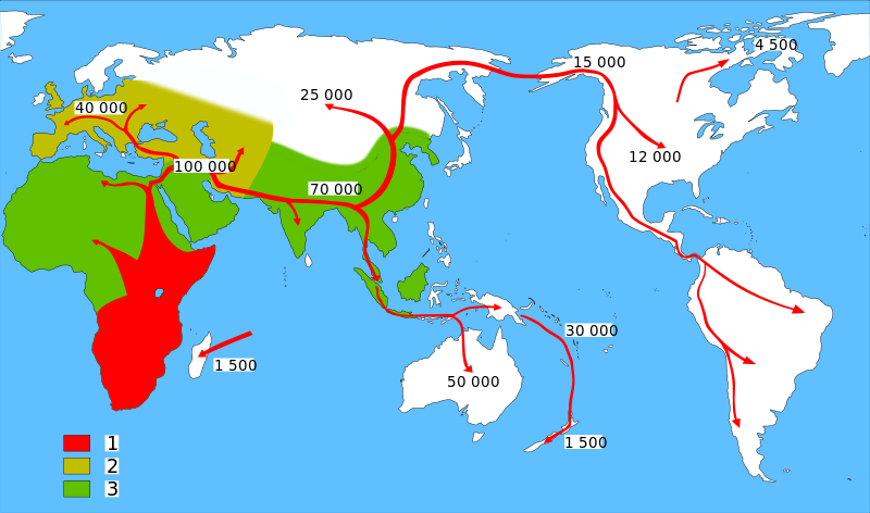 Indian ancestry of Prince William’s DNA, why not just Armenian?