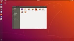 How to Install Protobuf (protoc or protocol buffers) in Ubuntu?